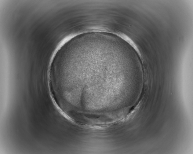 X0000086801381200704271841