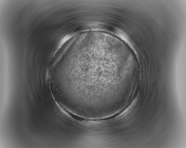 X0000086801385200704271841