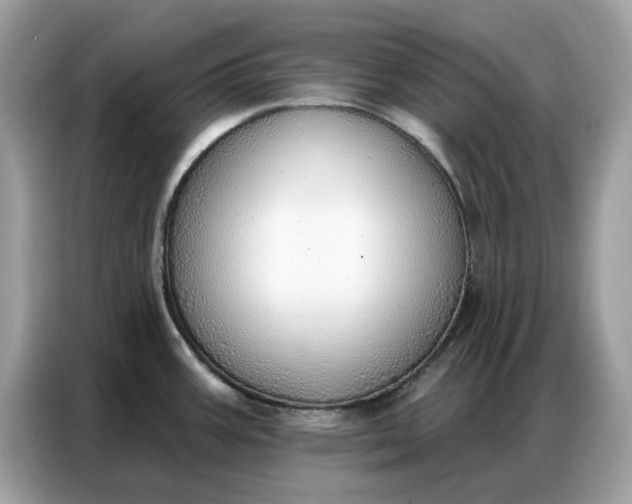 X0000086801387200704271841