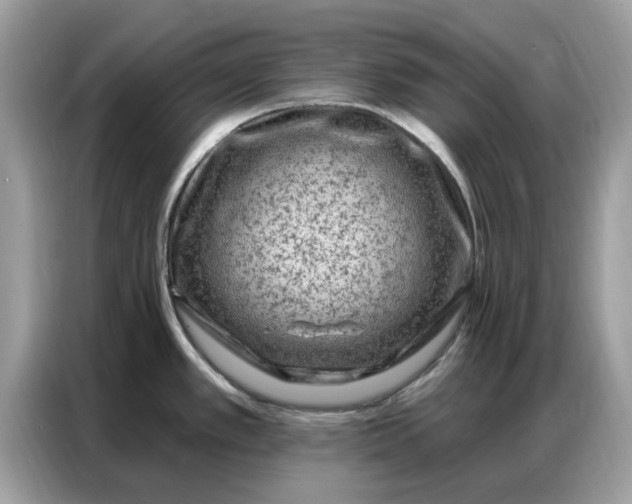 X0000086801389200704271841