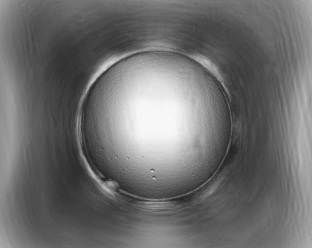 X0000086801391200704271841