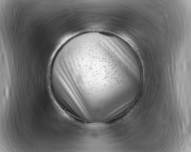 X0000086801392200704271841