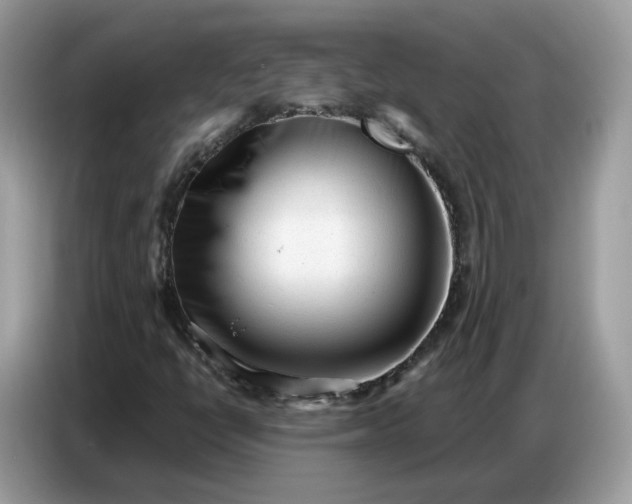 X0000086801398200704271841
