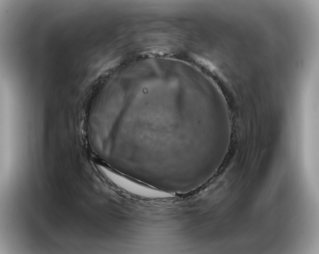 X0000086801399200704271841