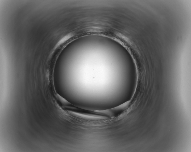 X0000086801402200704271841