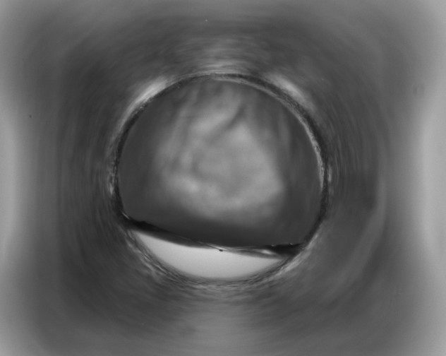 X0000086801405200704271841