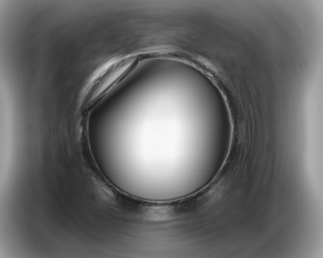 X0000086801406200704271841