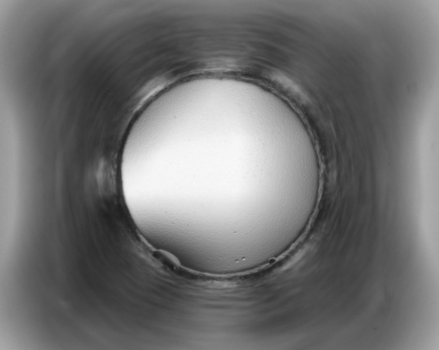 X0000086801409200704271841