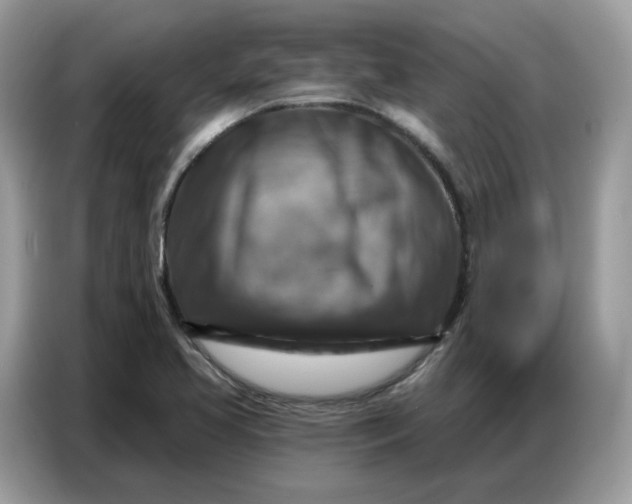 X0000086801413200704271841