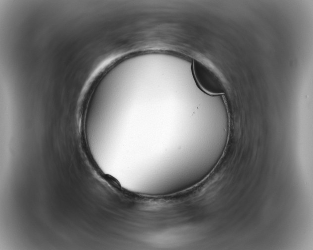 X0000086801416200704271841