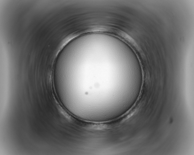 X0000086801417200704271841