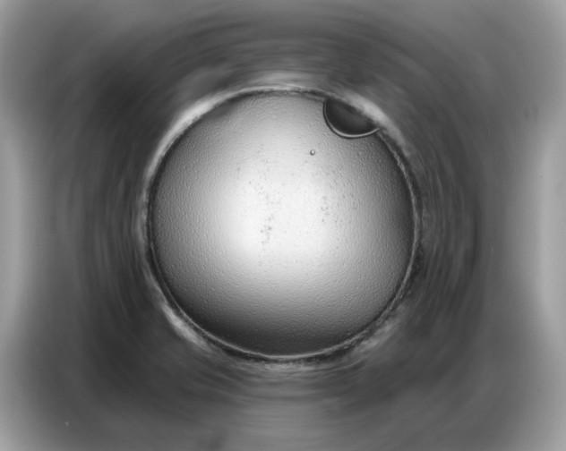 X0000086801421200704271841