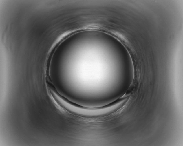 X0000086801422200704271841