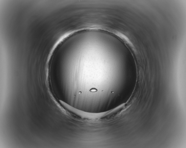 X0000086801424200704271841