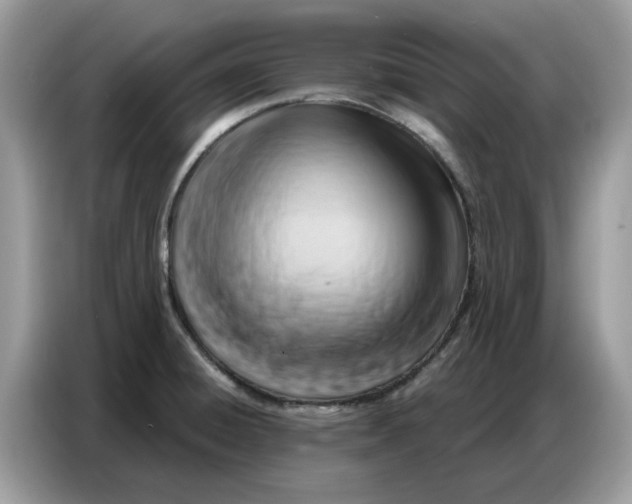 X0000086801428200704271841