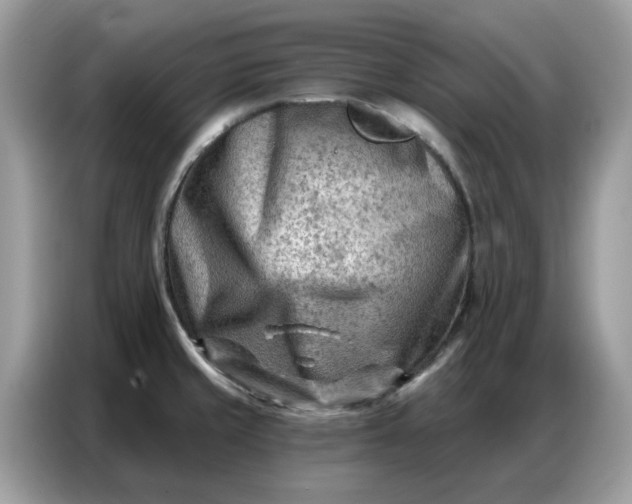 X0000086801429200704271841