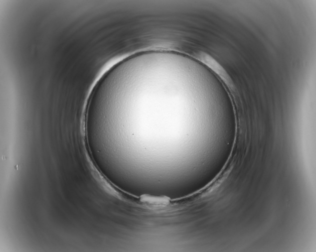 X0000086801436200704271841