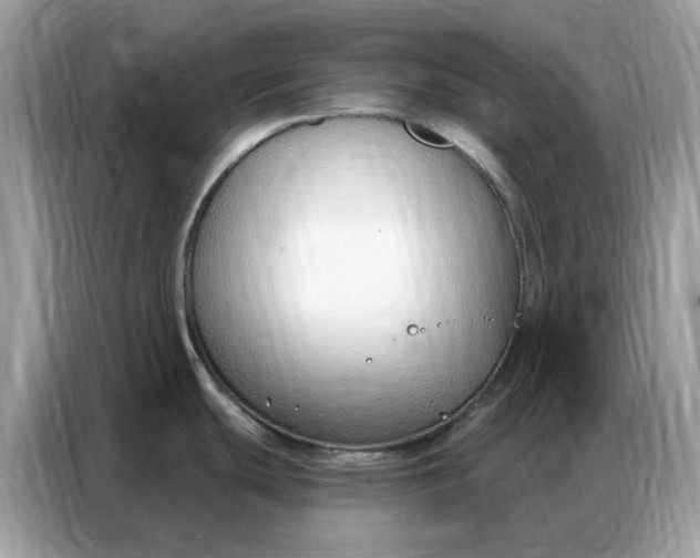 X0000086801439200704271841