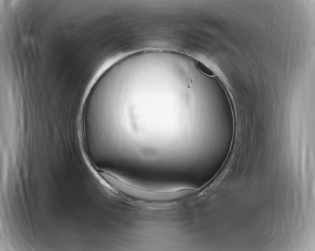 X0000086801440200704271841