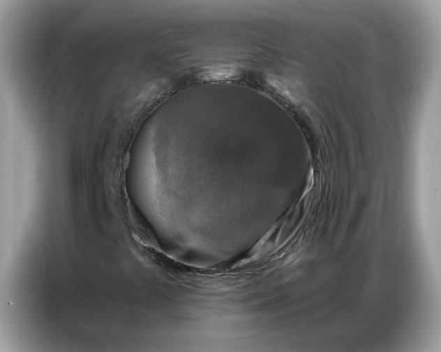 X0000086801441200704271841
