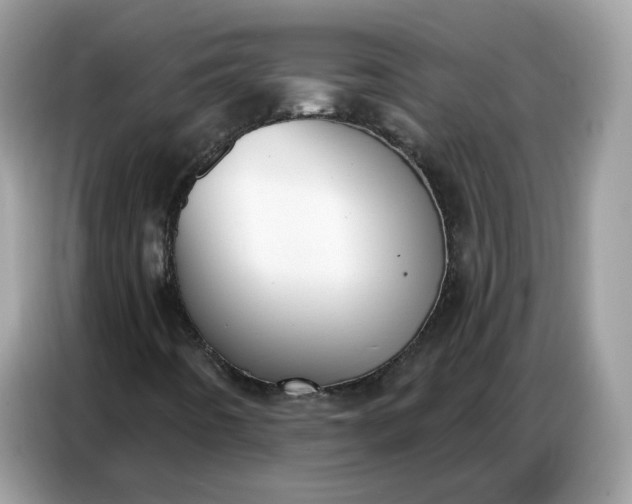 X0000086801442200704271841