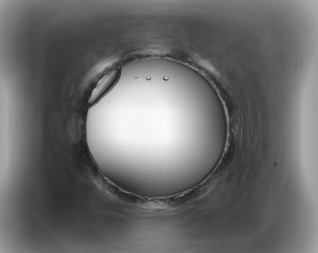X0000086801448200704271841