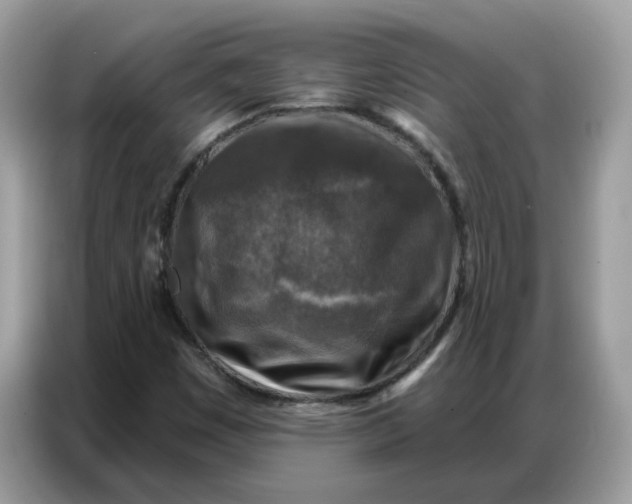 X0000086801449200704271841