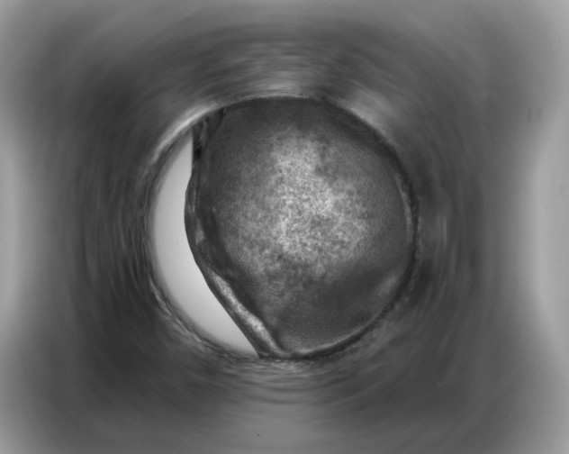 X0000086801450200704271841