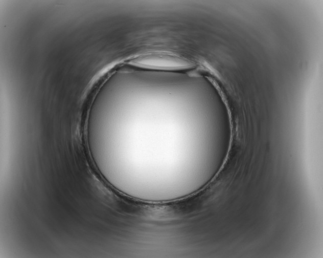 X0000086801452200704271841