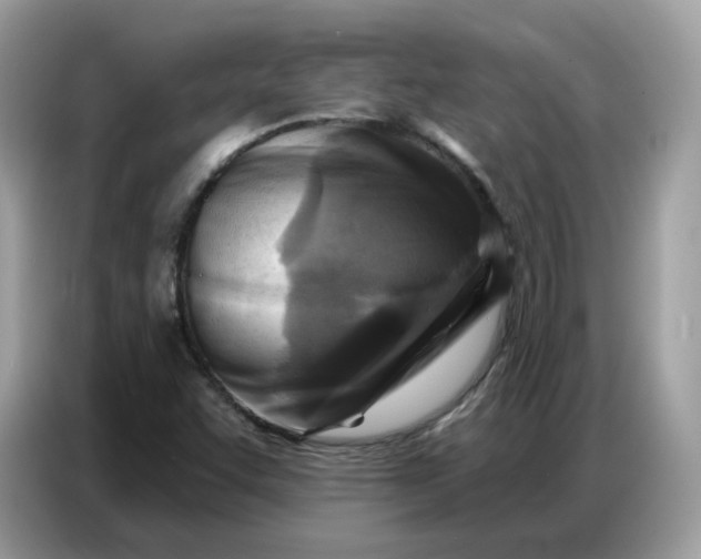 X0000086801455200704271841