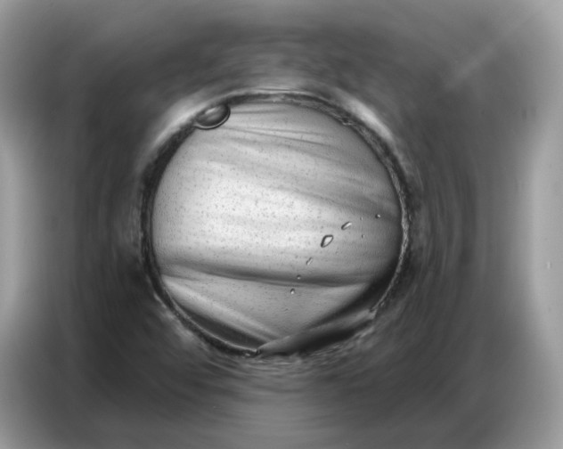 X0000086801456200704271841
