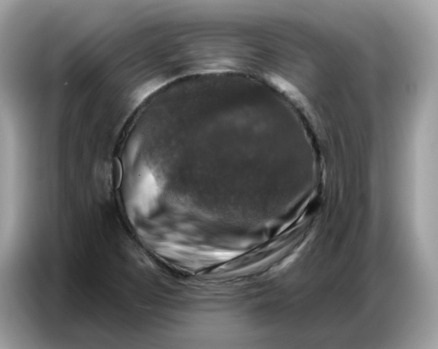 X0000086801457200704271840