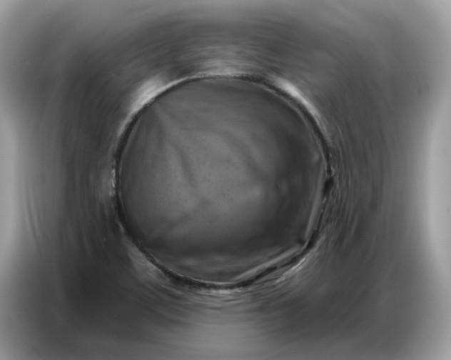 X0000086801459200704271840