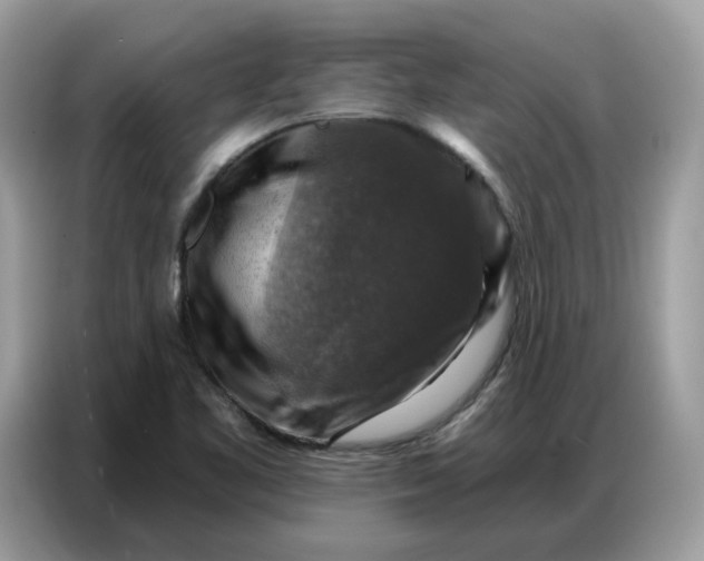 X0000086801461200704271840