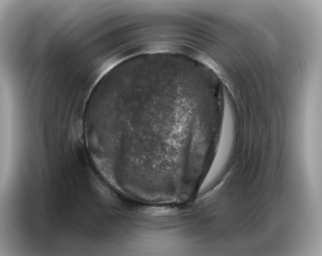 X0000086801465200704271840