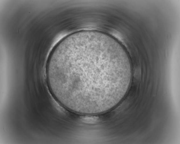 X0000086801466200704271840