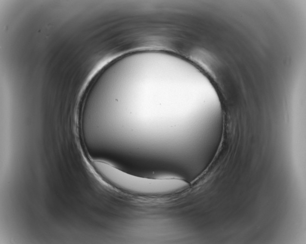 X0000086801468200704271840
