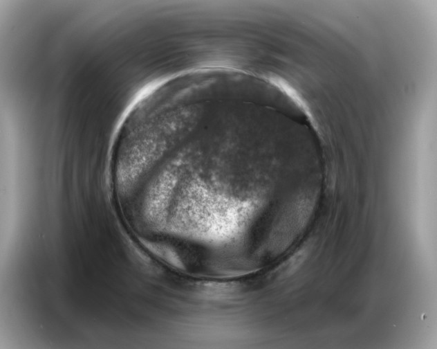 X0000086801469200704271840