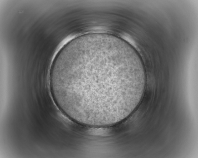 X0000086801474200704271840