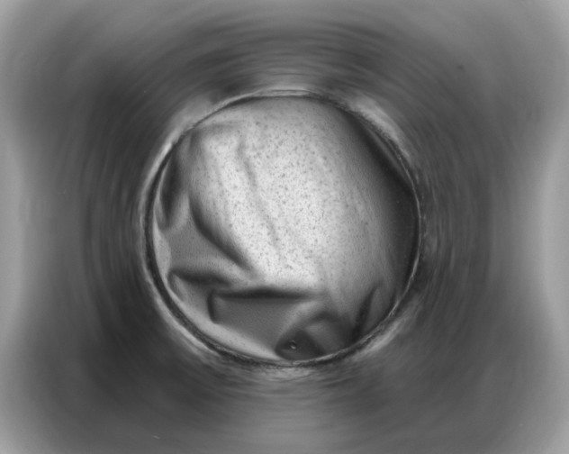 X0000086801475200704271840