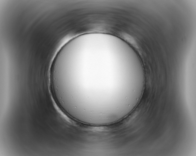 X0000086801479200704271840
