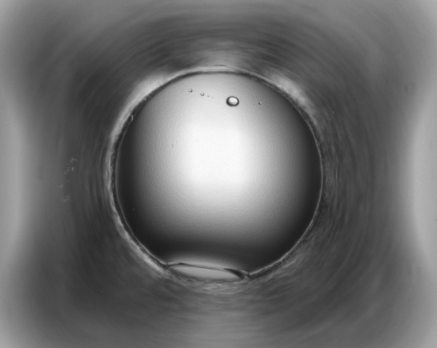 X0000086801480200704271840