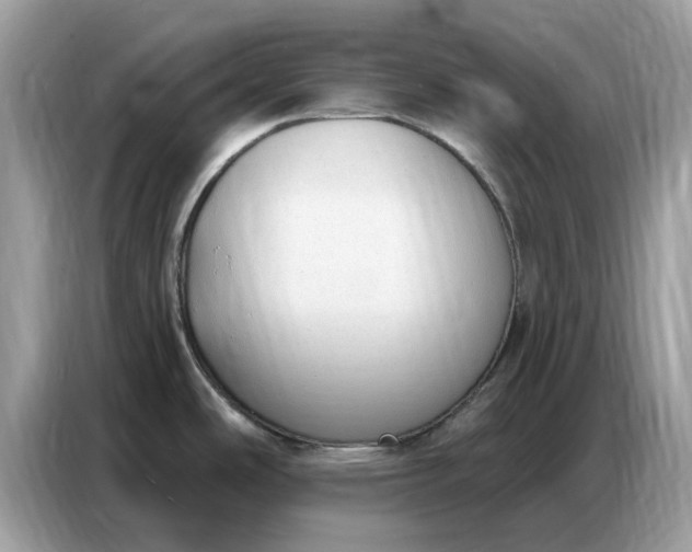 X0000086801486200704271840