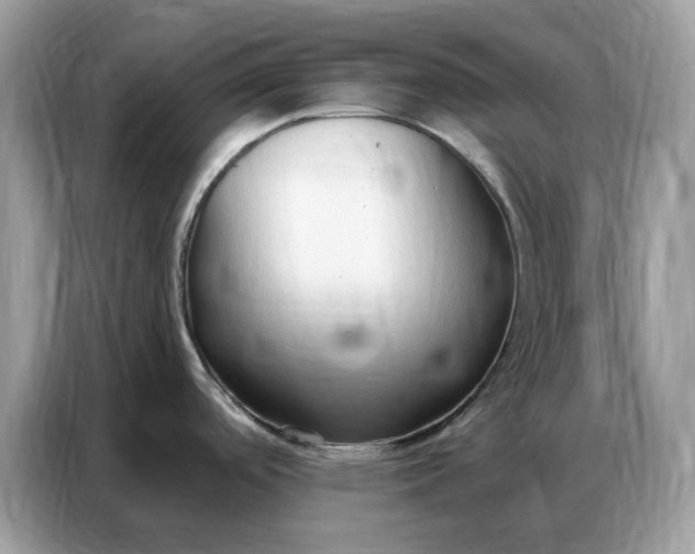 X0000086801488200704271840
