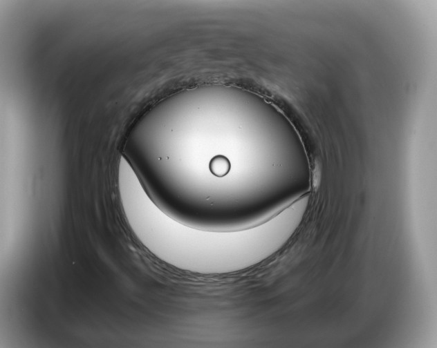 X0000086801492200704271840