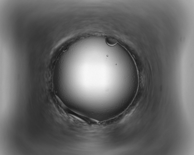 X0000086801494200704271840