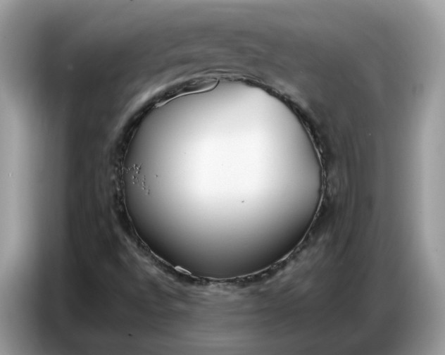 X0000086801496200704271840