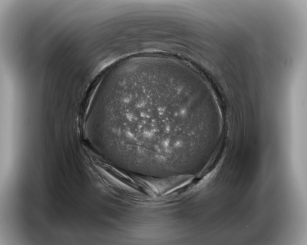 X0000086801497200704271840