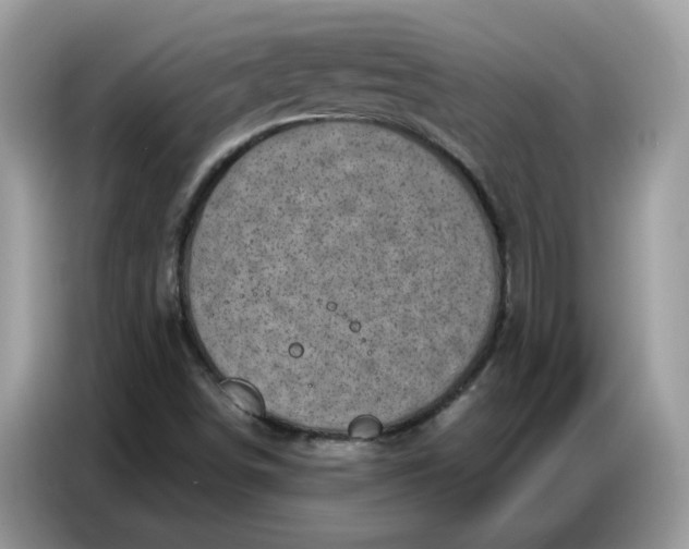 X0000086801498200704271840