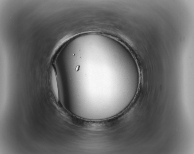X0000086801501200704271840